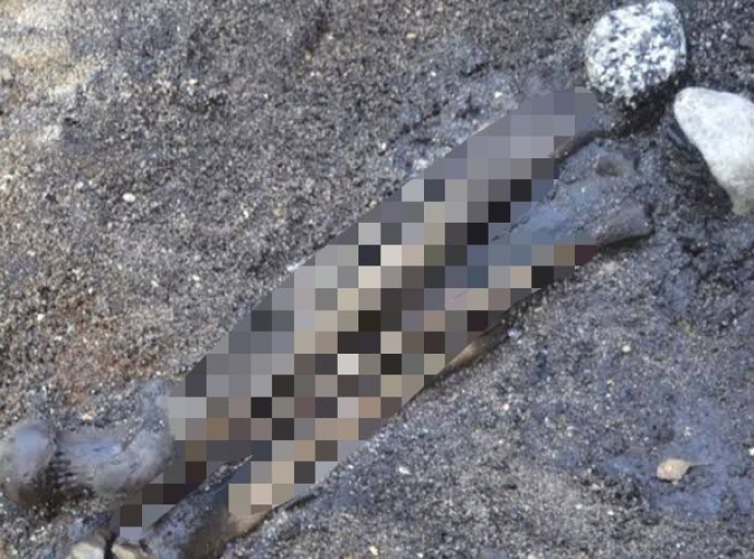 Encuentran restos humanos en avanzado estado de descomposición en Atlixco