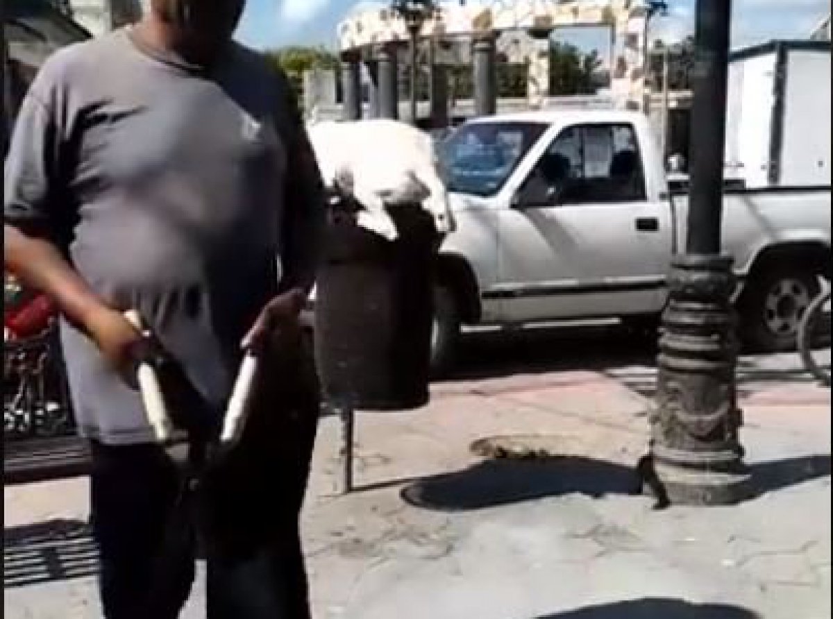Por lesionar a un perro en Huehuetlán El Chico, está vinculado a proceso