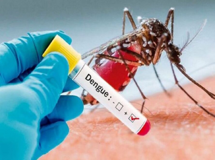 Se registran ocho casos de dengue en la Mixteca Poblana, tres son graves.