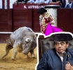 “Cancelar la fiesta brava es destinar a la extinción la raza de toros de lidia”, aseguró el gobernador Miguel Barbosa.