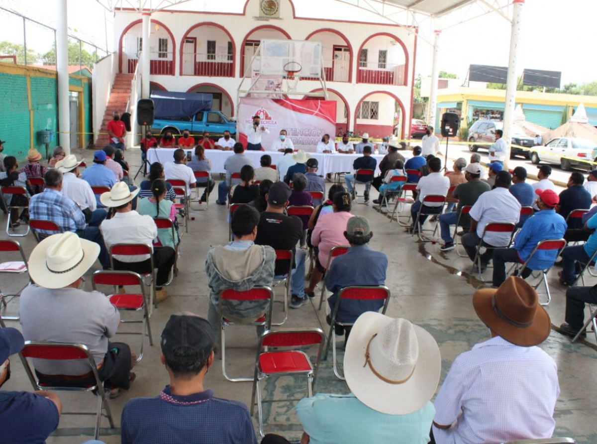 Busca Huaquechula cultivar caña de azúcar para el ingenio de Atencingo 