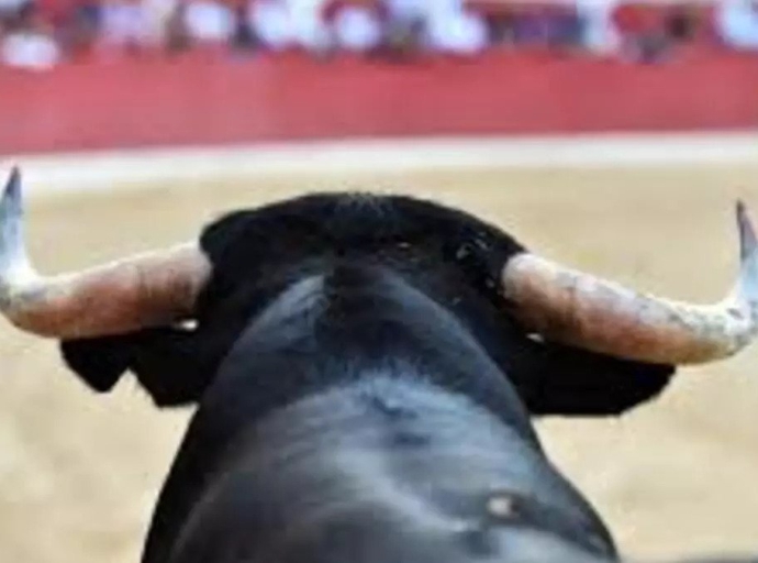 Por amparo, suspenden corrida de toros en feria de Zacatlán 