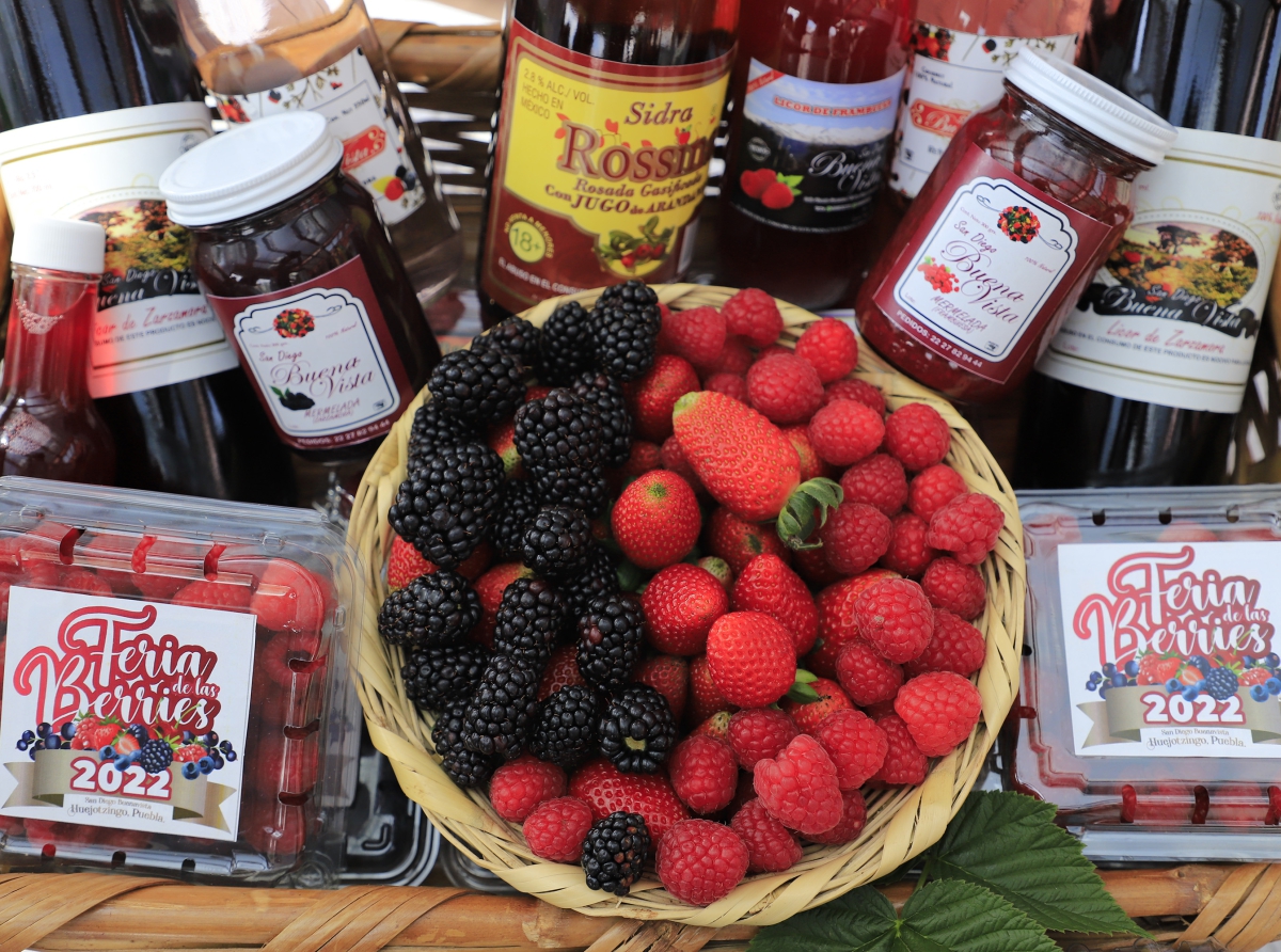 “Feria de las Berries” en Huejotzingo, más de 50 productores participarán 