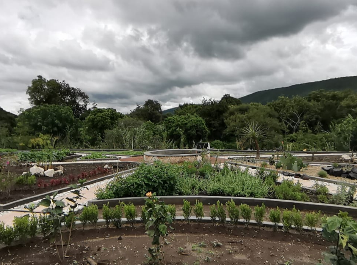Realizan el primer jardín botánico en Huaquechula 
