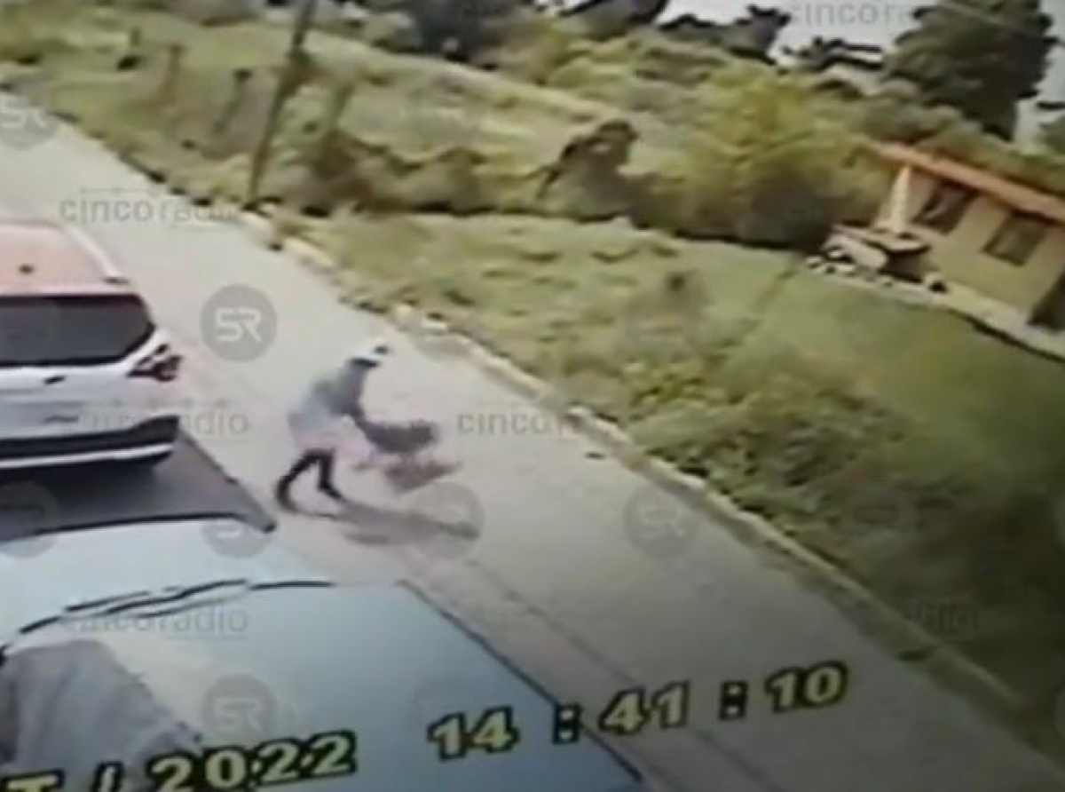 Una mujer fue atacada por dos perros pitbull en Cuautlancingo