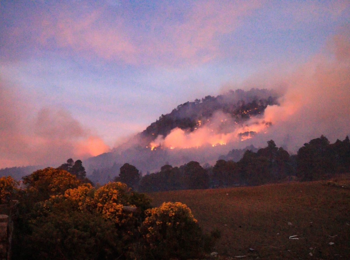 Incendio consume el Pico de Orizaba; brigadistas luchan por sofocarlo