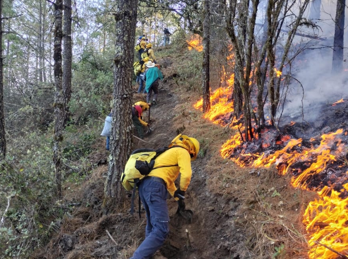 Incendio forestal suma tres días activo en Tetela de Ocampo Puebla