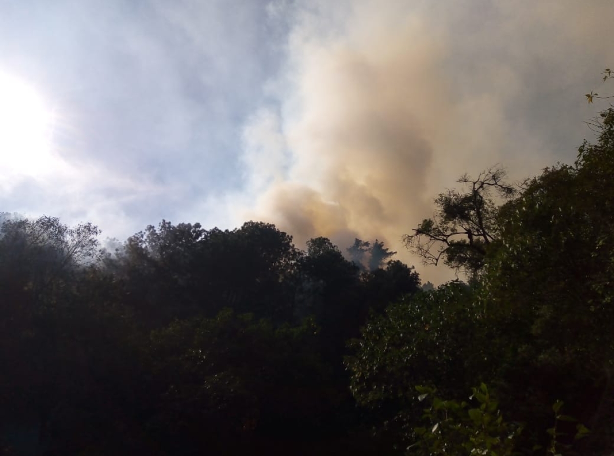 Continúa gobierno estatal trabajos para sofocar incendios forestales: SEGOB
