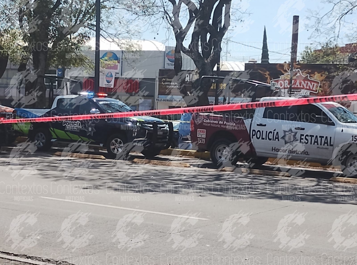 Hombre se cuelga de un árbol sobre bulevar 5 de Mayo en Puebla