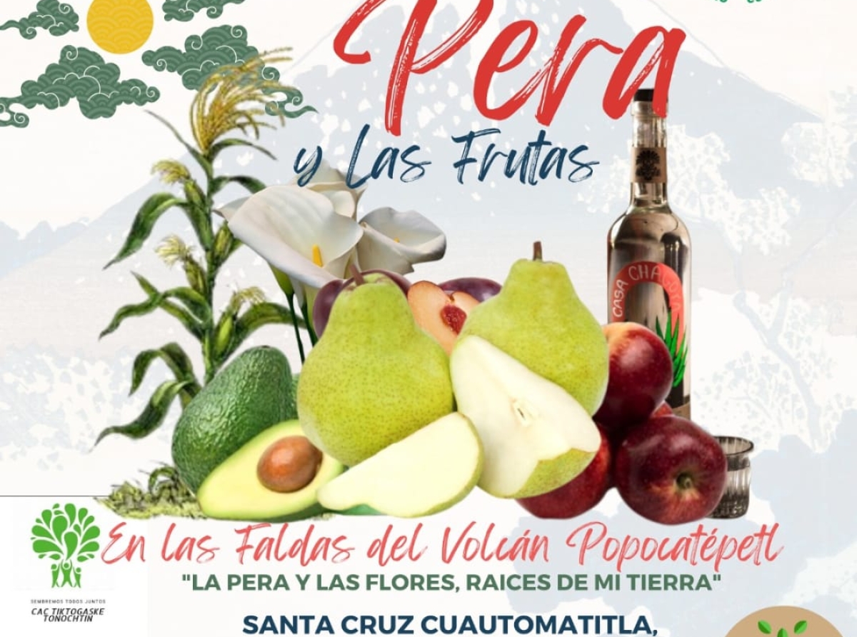 Feria de la Pera en Tochimilco reunirá a más de 600 productores 