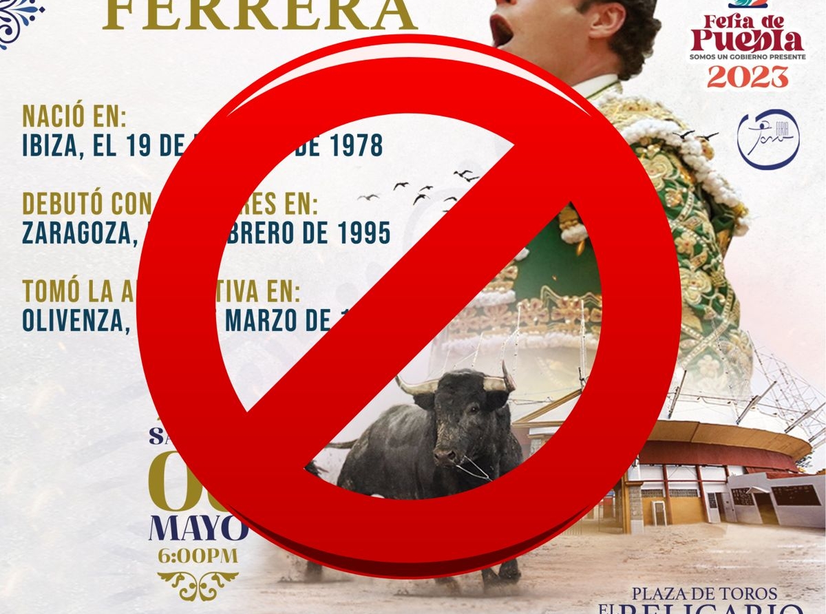 Cancelan corridas de toros en la Feria de Puebla 2023 