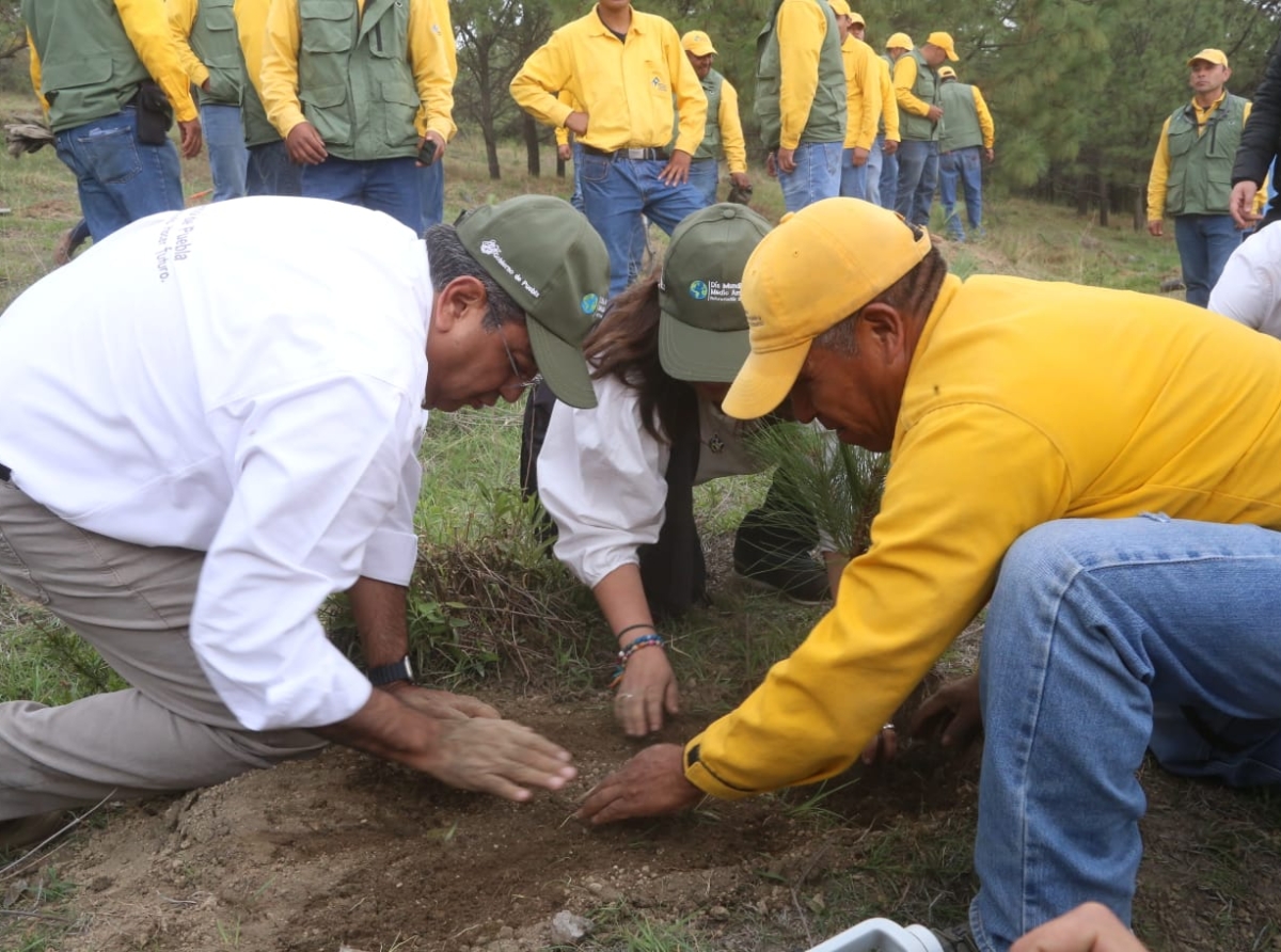 El gobernador Sergio Salomón inició en Tianguismanalco el Programa de Reforestación 2023- 2024