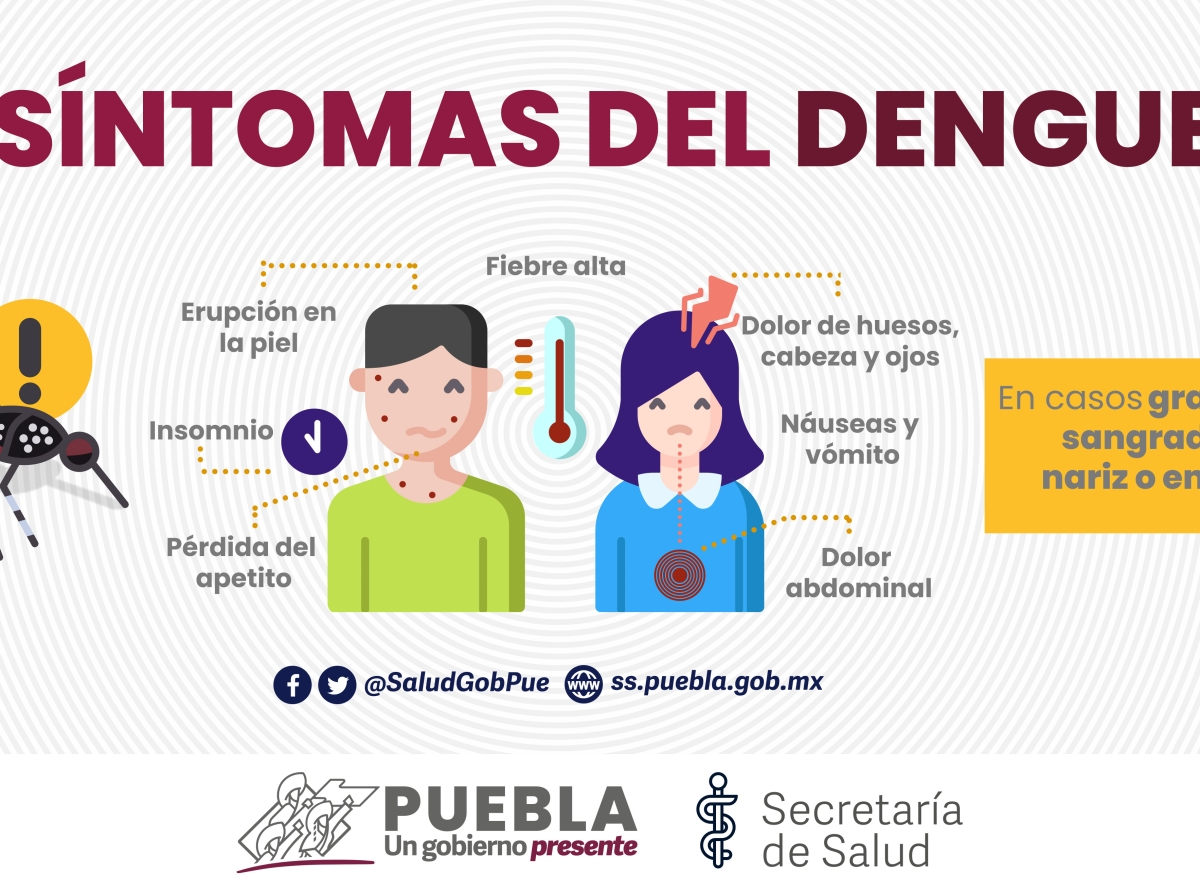 Acumula Puebla 736 casos de dengue: Secretaría de Salud