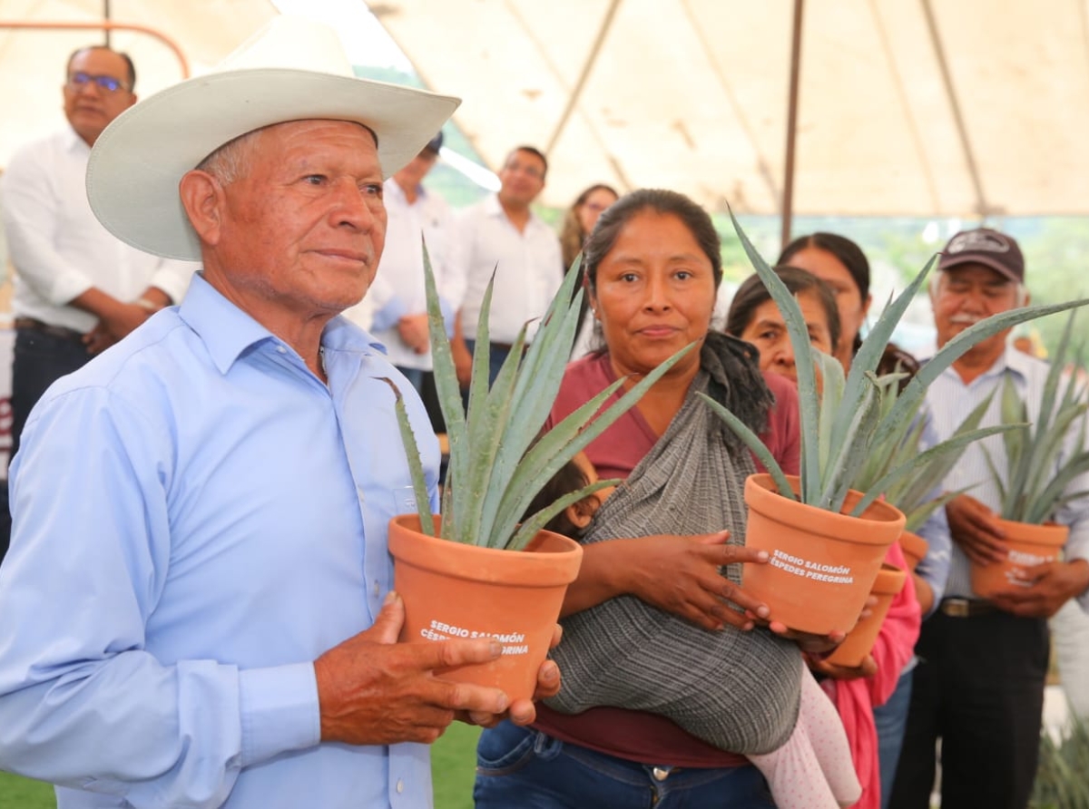 Gobierno de Puebla invertirá 442 millones de pesos para aumentar la producción de mezcal