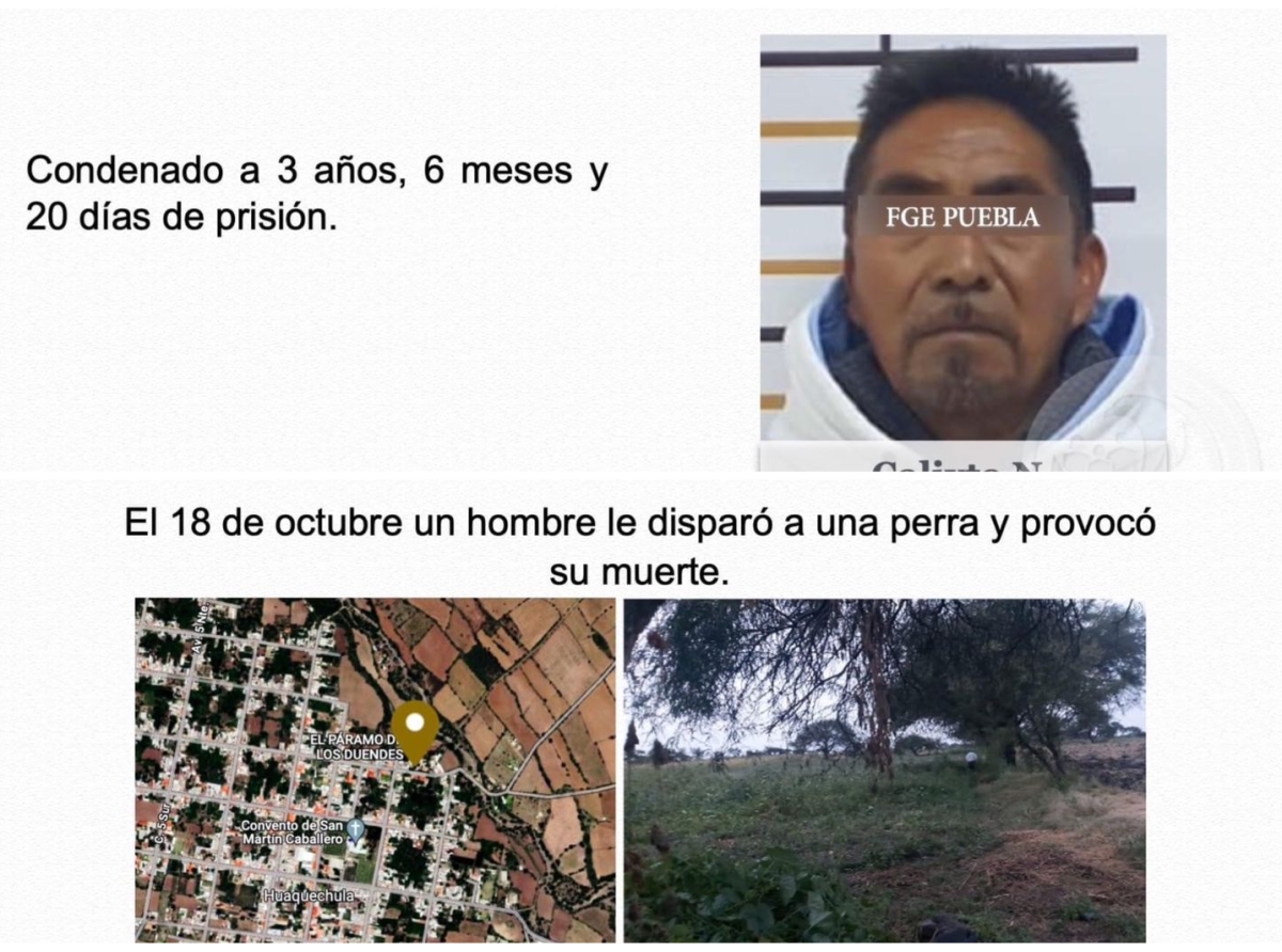 Calixto N. es sentenciado a 3 años de prisión por dispararle a una perrita en Huaquechula