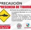 Mujer muere tras ser atacada por un tiburón en Cihuatlán, Jalisco 