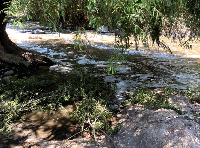 Contaminación del Río Nexapa: un problema ambiental y social