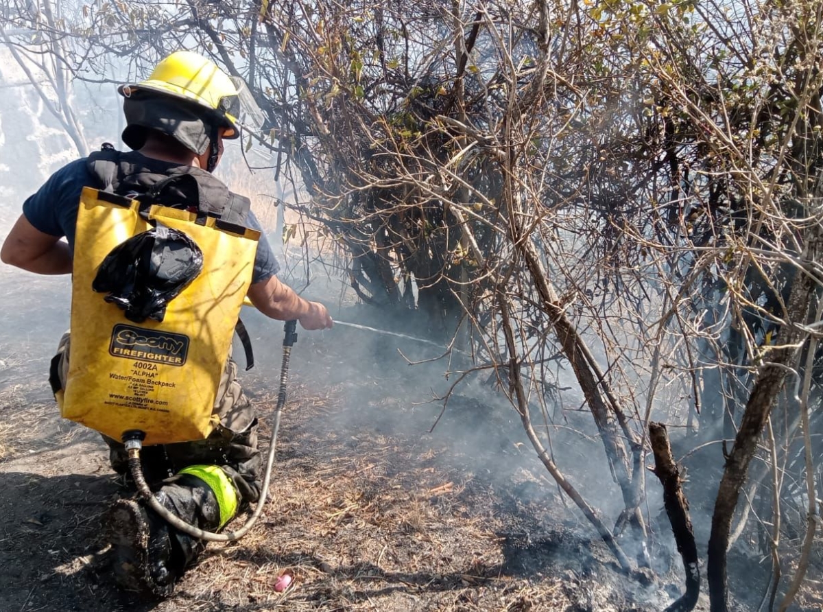 Protección Civil atiende conato de incendio en cerro de San Miguel