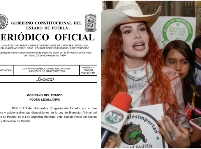 Puebla publica en Diario Oficial la “Ley Elena” contra la zoofilia