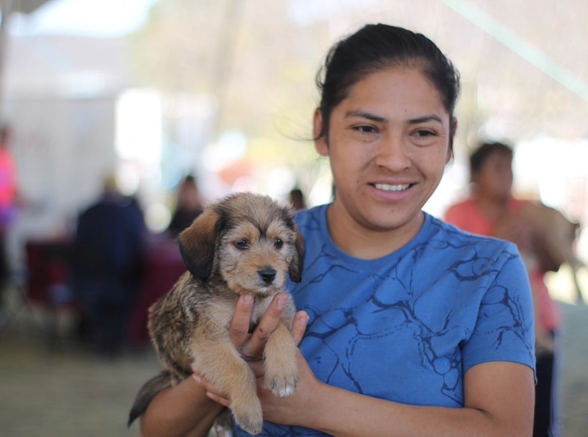Unidad de Bienestar Animal del Ayuntamiento de Atlixco impulsa programa de esterilización para el control poblacional de mascotas